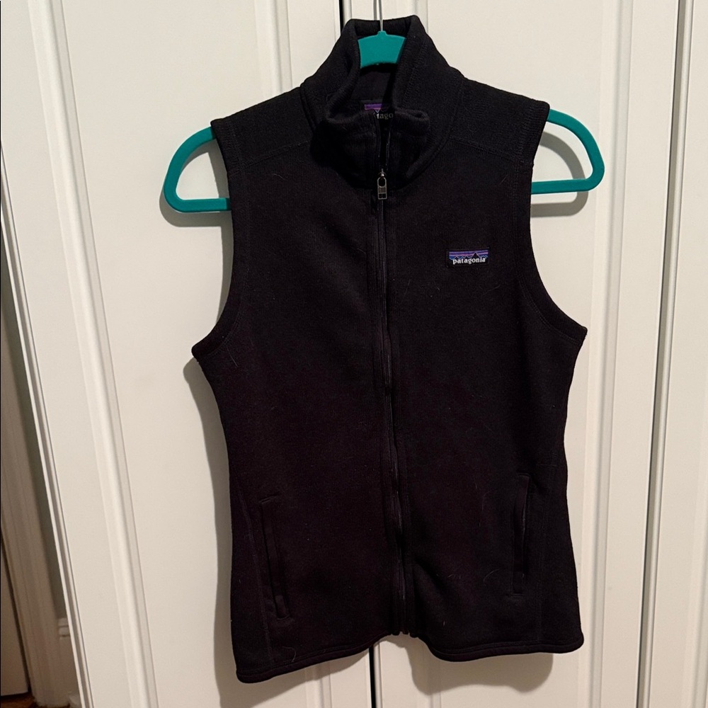 Patagonia Black Fleece Vest